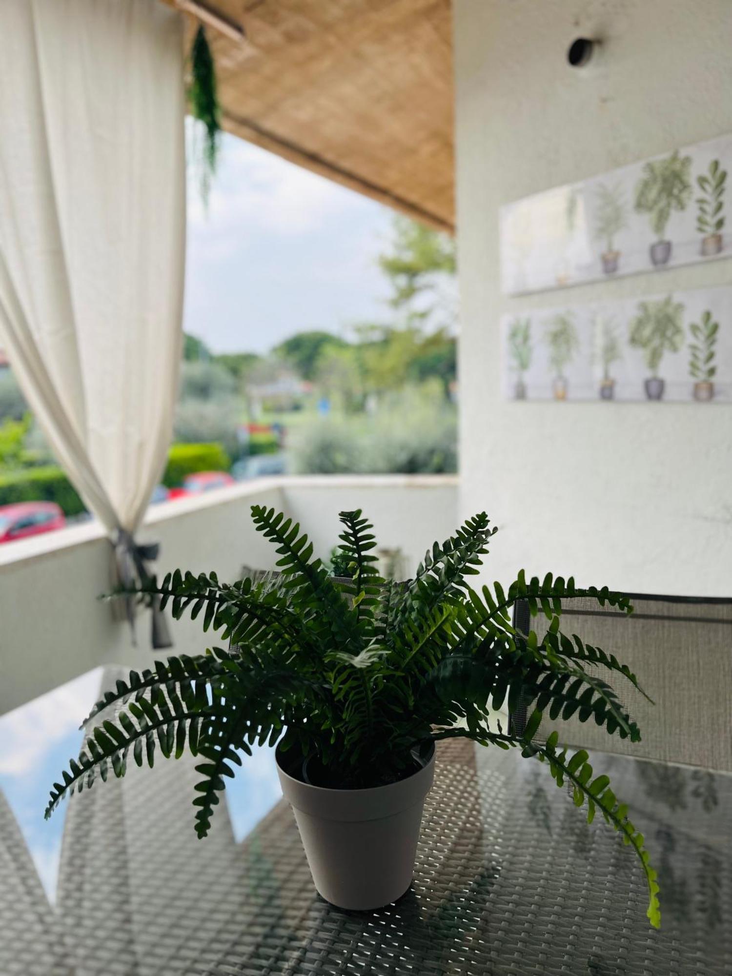 Your Familyapartment In Сірміоне Екстер'єр фото